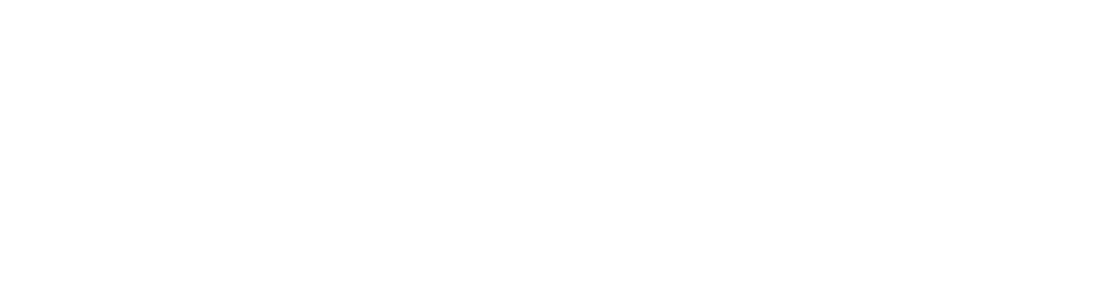Ace Golfzone